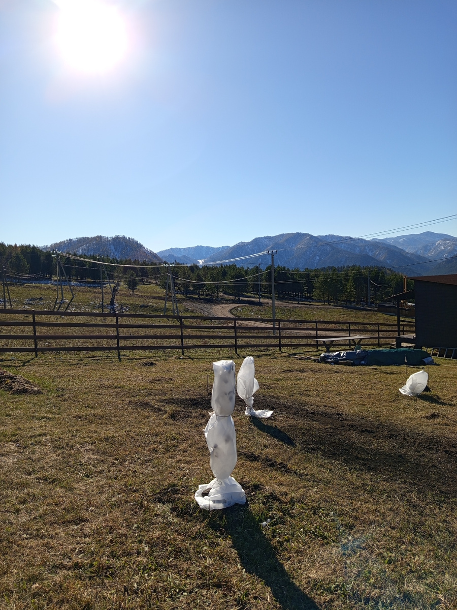 Вот так получилось