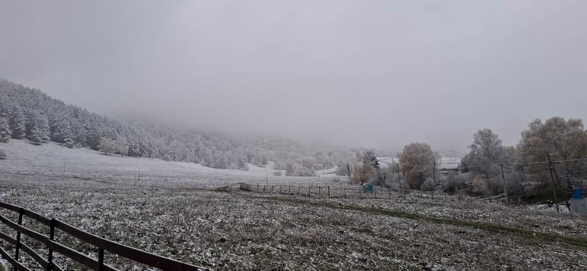 Первый снег 