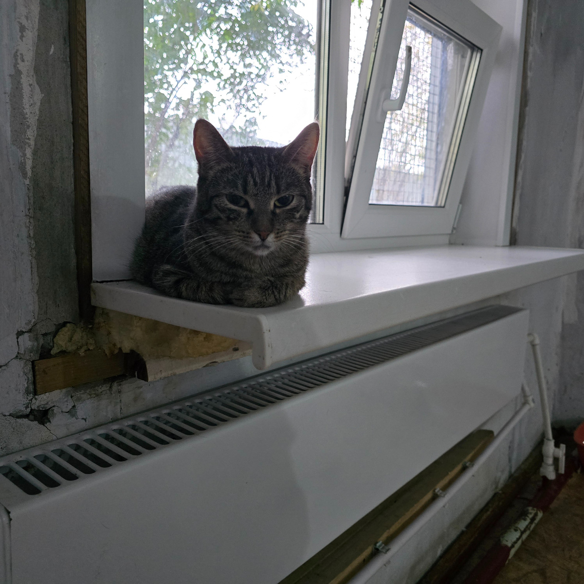 главный наблюдатель на стратегическом посту