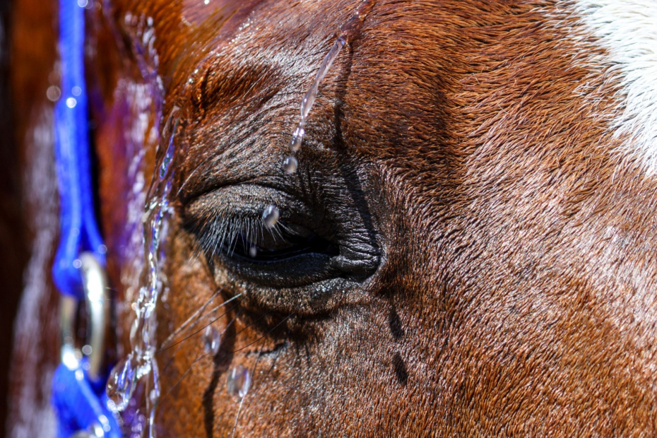    Сергей Лантюхов/NEWS.ru