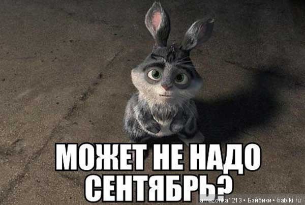 Не совсем на меня похоже животное. Но взгляд  один в один