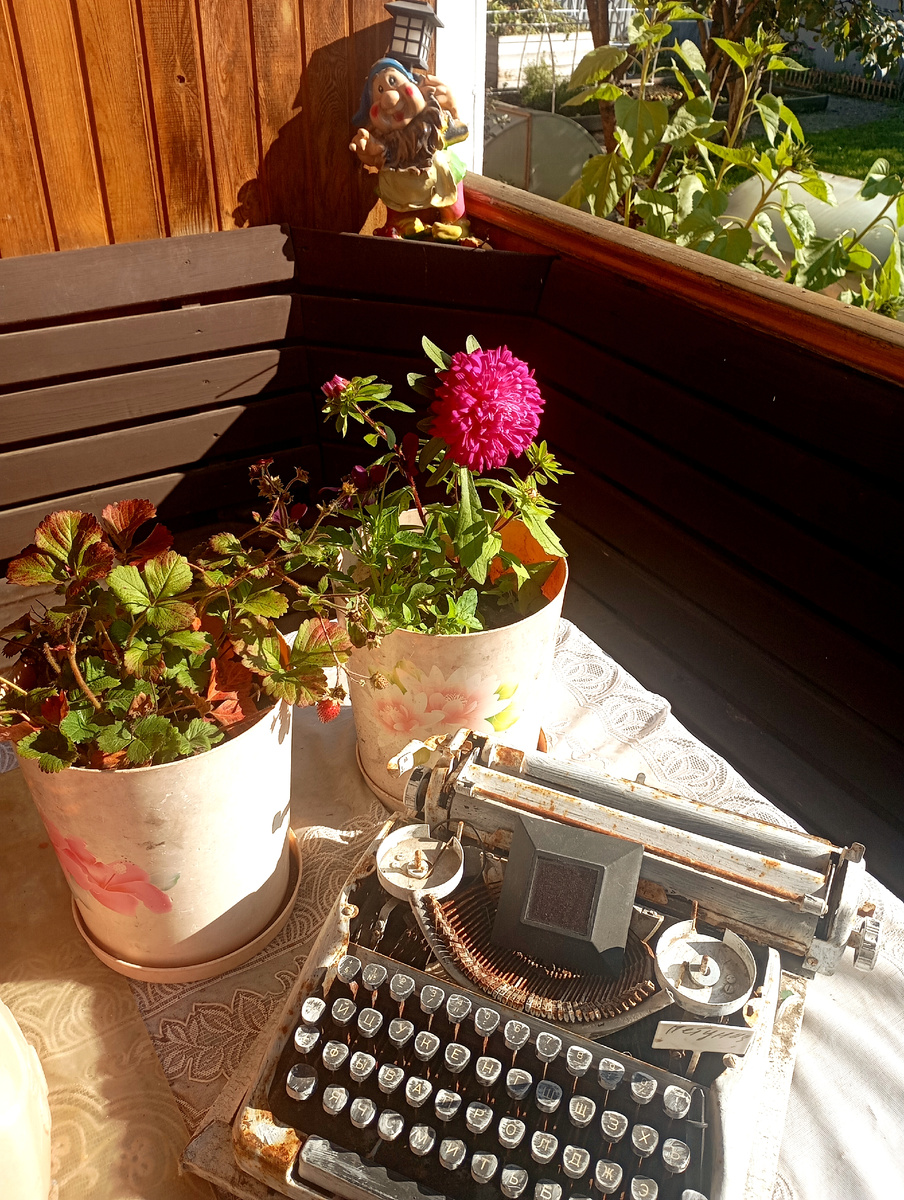 Хорошо когда утра солнышко, и настроение полнимает