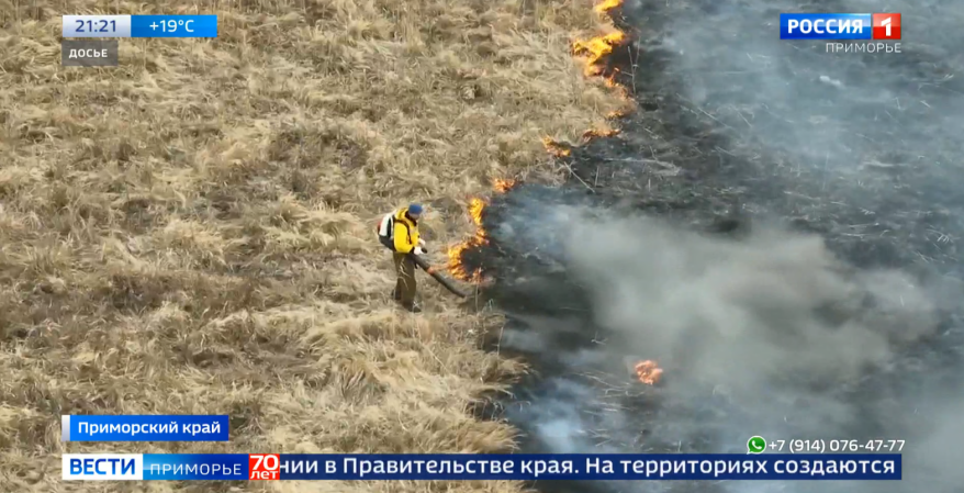    Источник фото: