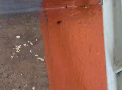    Фото: Чита.Ру