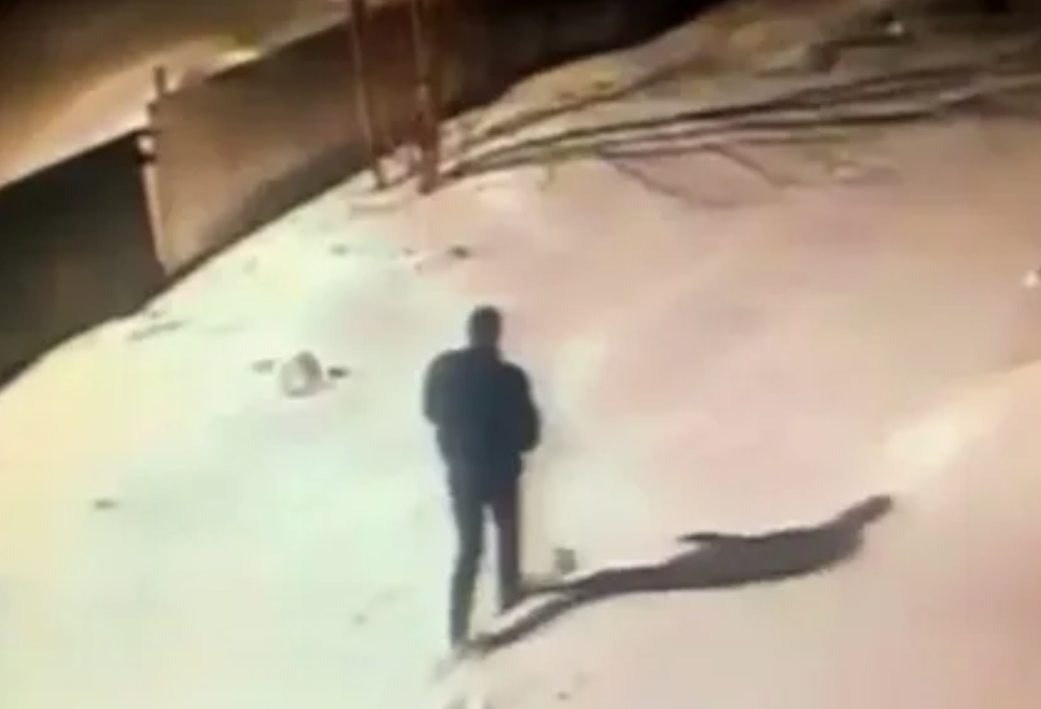 Фото: скриншот с камеры видеонаблюдения