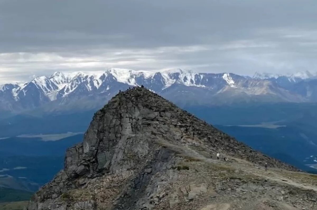    Девушка-блогер разозлила жителей Алтая, осквернив обрядовое дерево