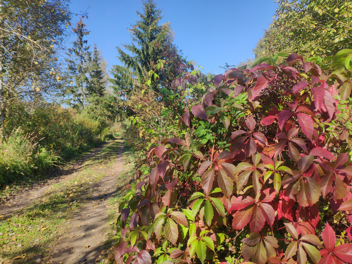 Фото автора 