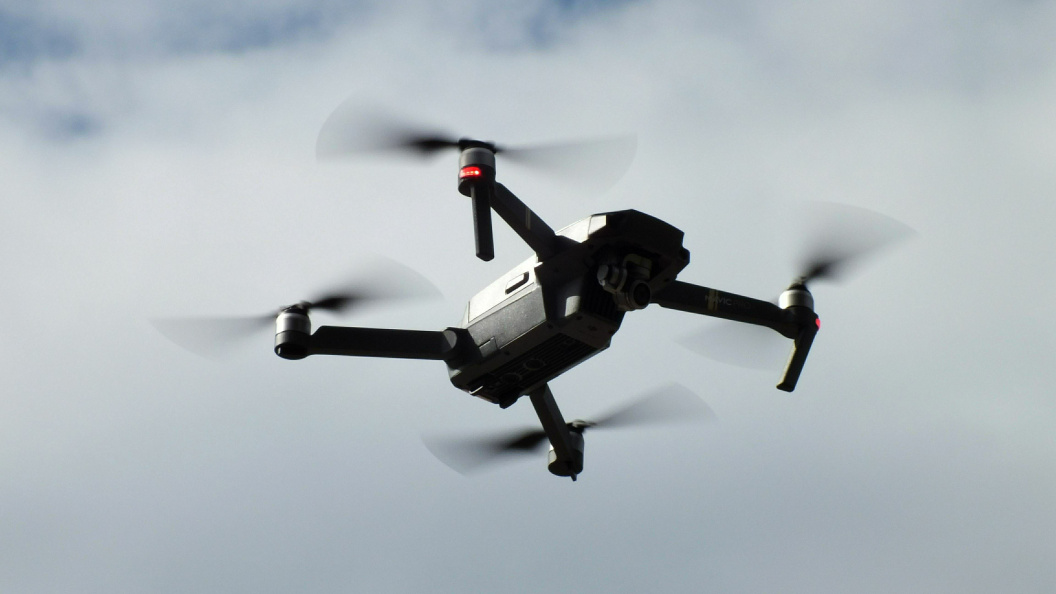    Фото: Виктор Лисицын/Globallookpress