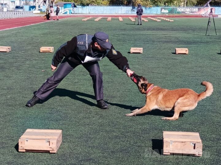    Фото:Виктория Андреева