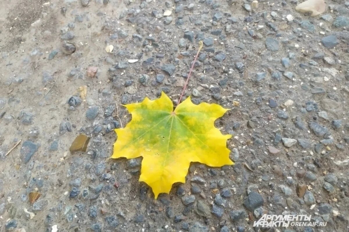    Контраст погоды особенно будет заметен в Оренбургской области в пятницу.