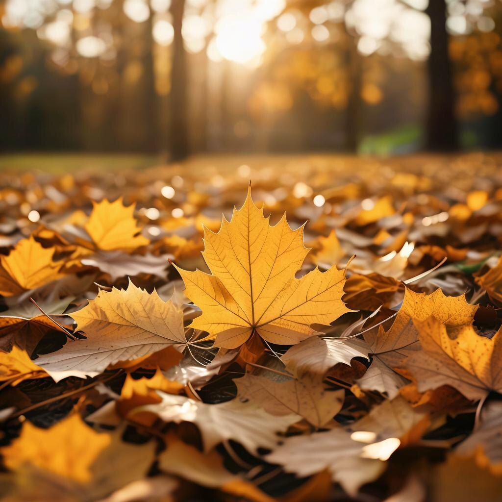 Автор: Гольцова А. С.