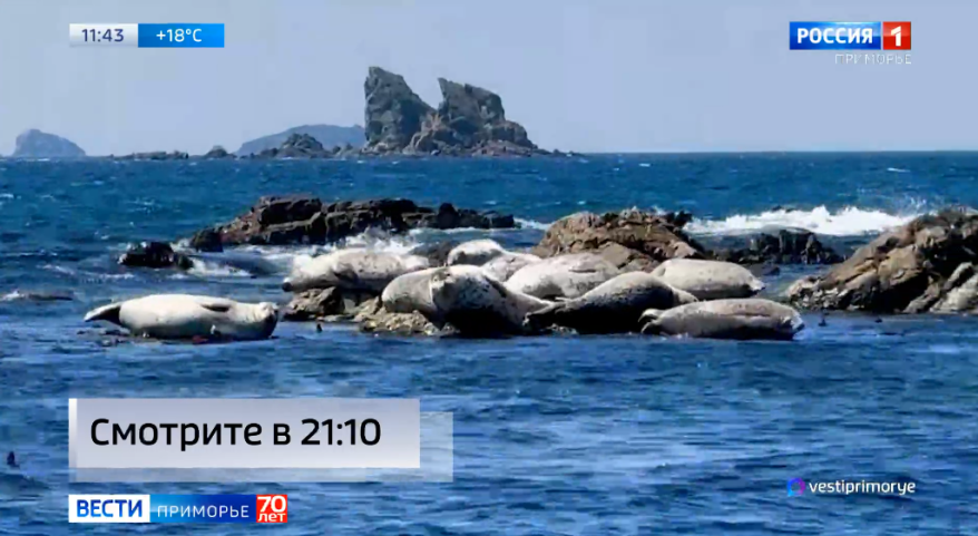    Источник фото: