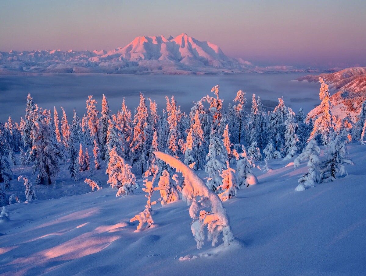 Картинка найдена на просторах интернета, ссылка https://yandex.ru/images/search?from=tabbar&img_url=https%3A%2F%2Fi.pinimg.com%2Foriginals%2Fa8%2F34%2F3f%2Fa8343f812879b5e7bd53274cf0а691a19.jpg&lr=47&pos=15&rpt=simage&text=%D1%86%D0%B2%D0%B5%D1%82%D1%8B%20%D0%BA%D1%80%D1%83%D0%BF%D0%BD%D0%BE%20%D1%84%D0%BE%D1%82%D0%BE