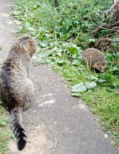 Фото Алексей Селиванов