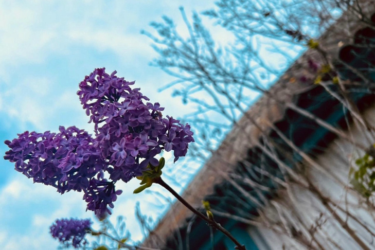    Фото Анны Ивановой