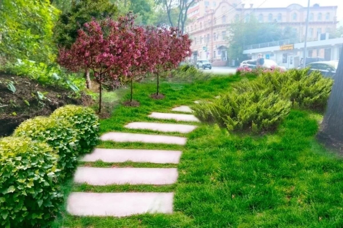    Во Владивостоке приступили к благоустройству пустыря у остановки «Гайдамак»