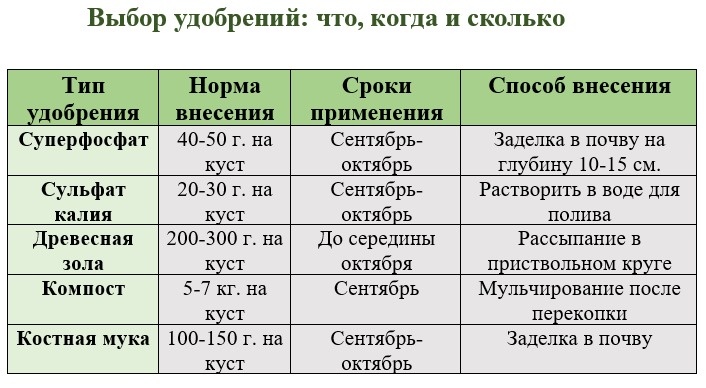 Осенние удобрения для жимолости