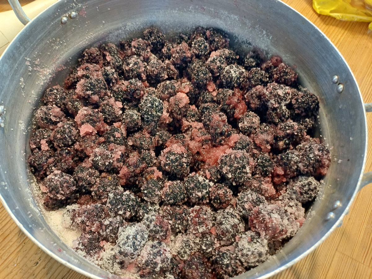 ежевика с сахаром. фото автора