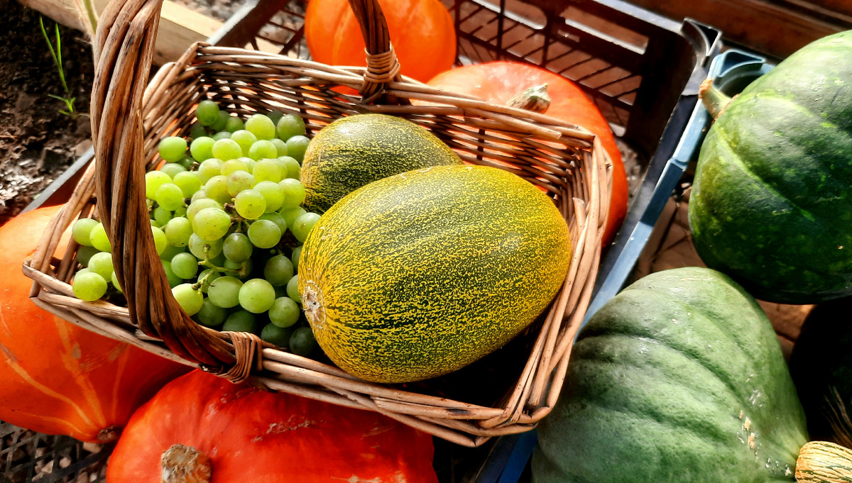 Фото автора.