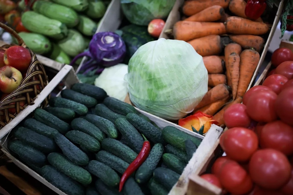    Фото: Виталий Тимкив, источник: ria.ru