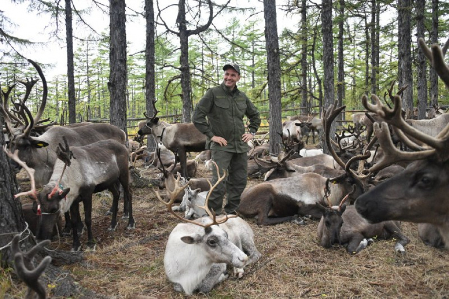 Фото: Антон Шевченко / khabkrai.ru