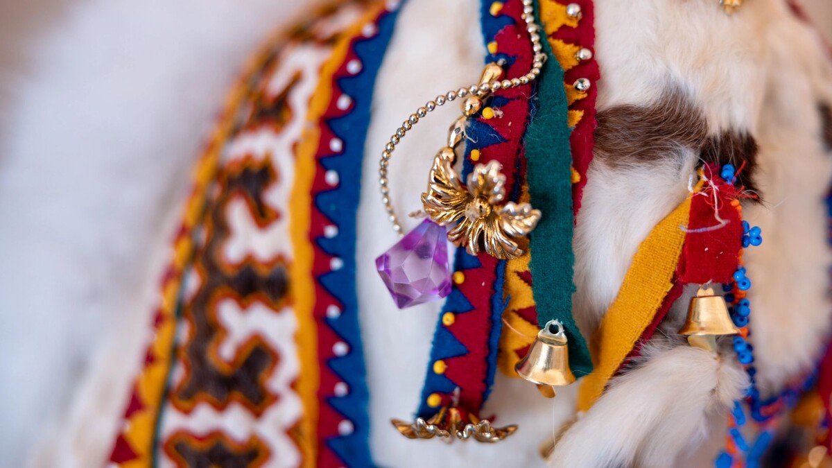    Фото: Сергей Зубков / «Ямал-Медиа»