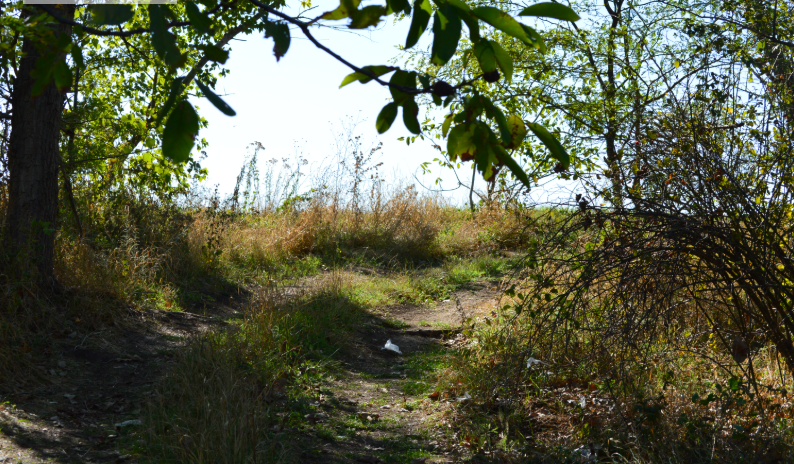 Фото автора. Осень 2025. Дороги бывают разными, простых дорог не бывает.