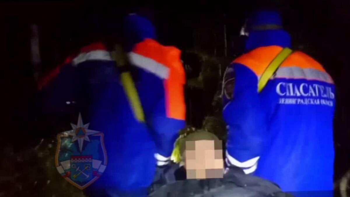    Фото: t.me/acclenobl