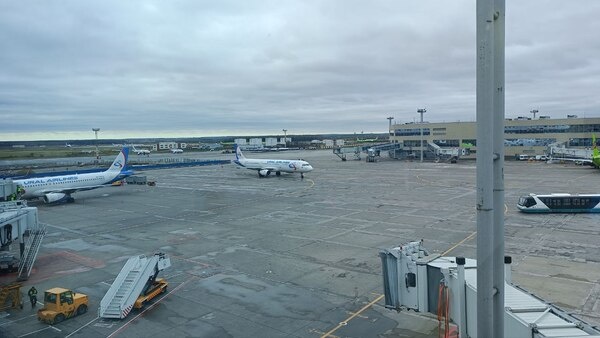    Фото: Александр Выдро/BFM Кубань