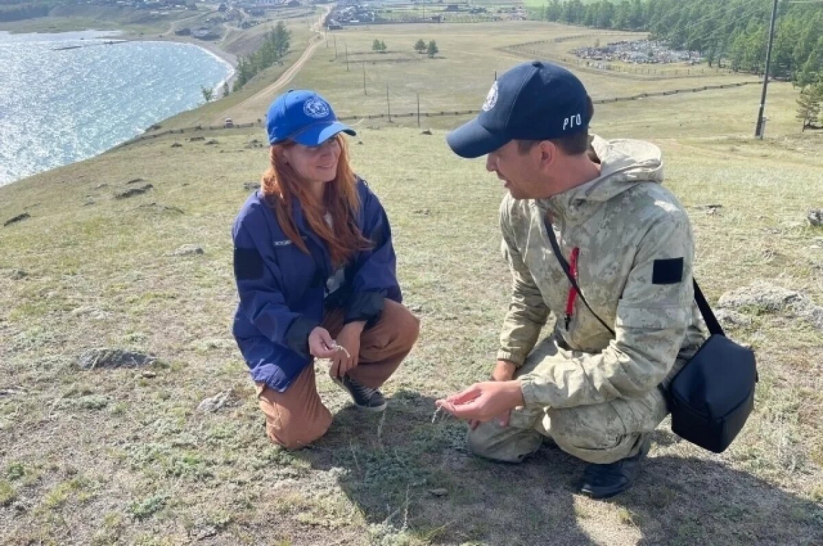    Ученые изобрели сорбент с бактериями и провели испытания на БАМе и в Анапе.