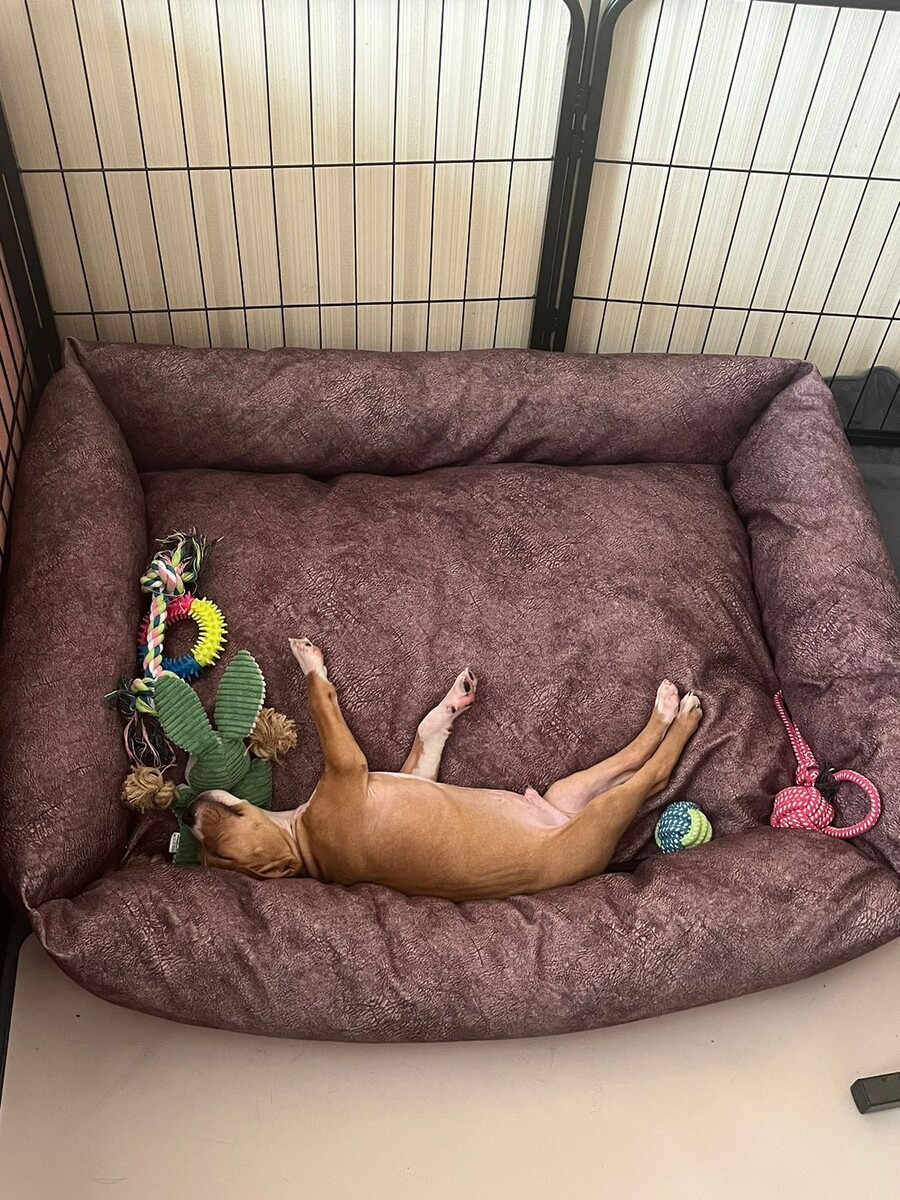 Третий день с нами