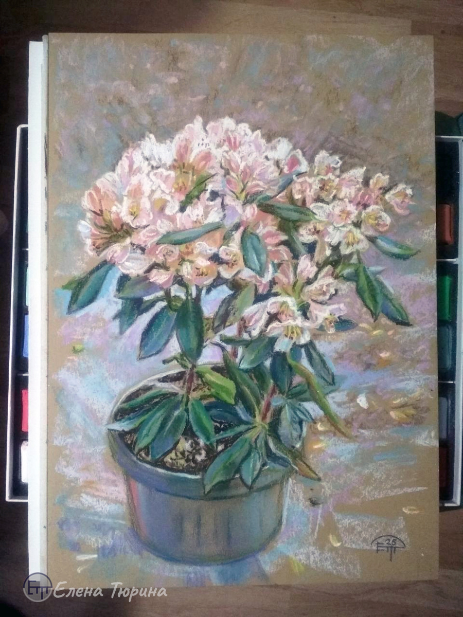 Художник Елена Тюрина. "Рододендрон". Бумага. Сухая пастель. 2025 г. Размер: 42 х 29 см.