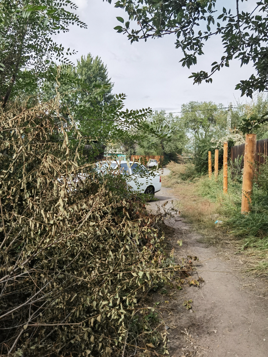 Узенький проулочек, по которому когда-то ездили машины