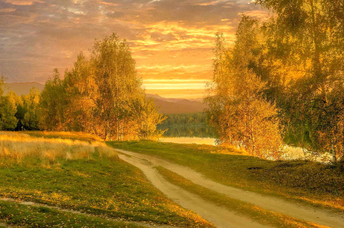 фото:Sergey Metelitsa/Global Look Press