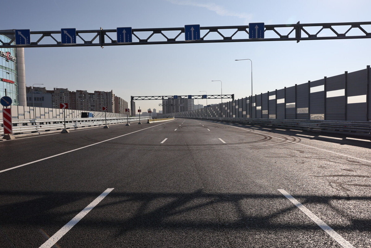 Фото: Дмитрий Фуфаев / «Петербургский дневник»