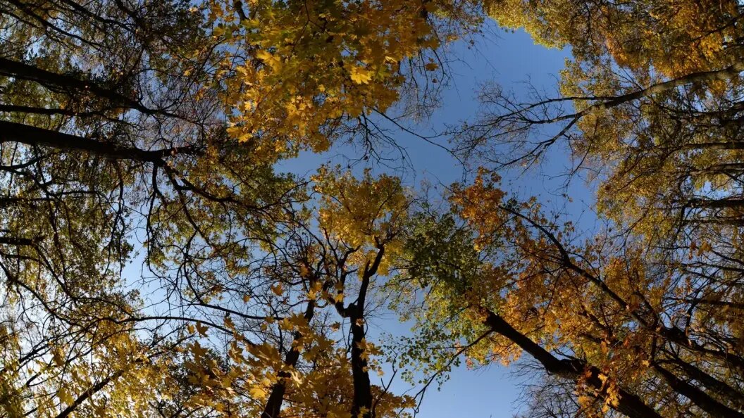    Фото: Олег Рукавицын