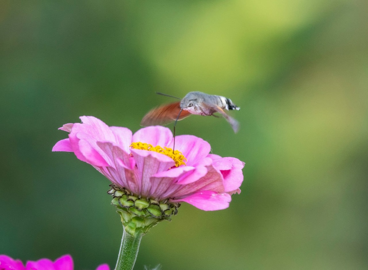 Фото: Алексей Сиваков