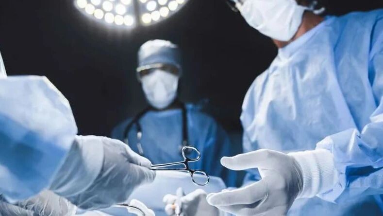    Фото: Inside Creative House/Shutterstock/Fotodom