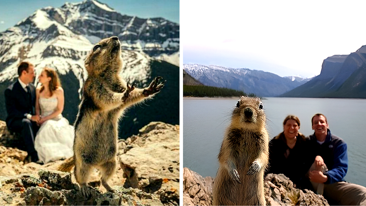 Кажется белки этих гор взяли шефство над влюбленными