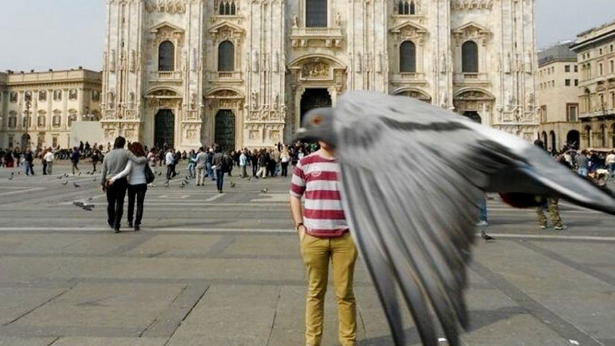 На этой площади, без корма для голубей, фотографироваться запрещено! ЕЩЕ фото --->>