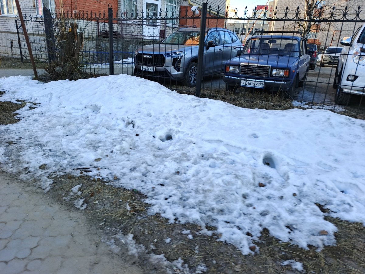    «Декабрь, январь и февраль будут такими». Синоптики сообщили новый прогноз на зиму