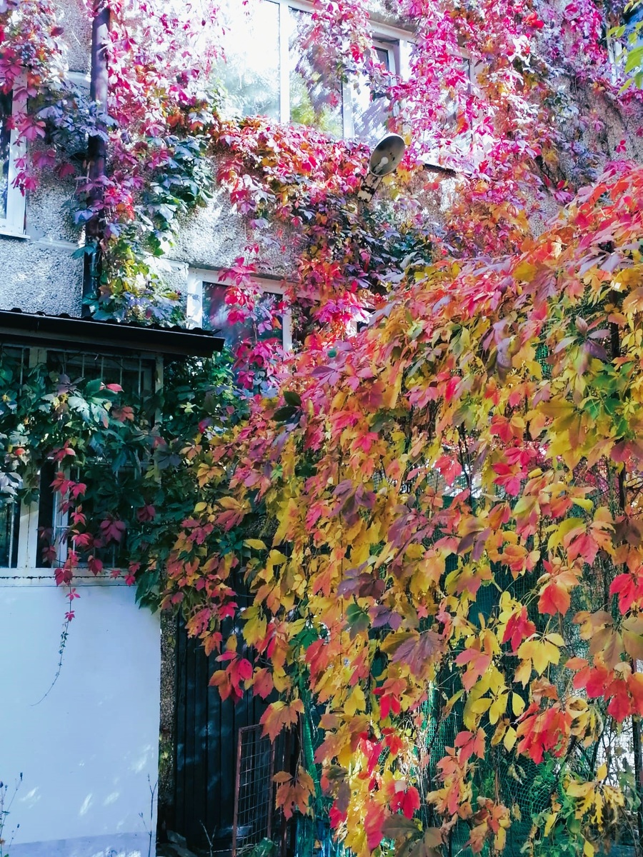 Фото автора 