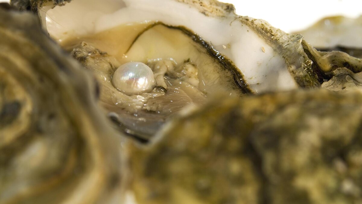    Фото: Bele Olmez/globallookpress.com