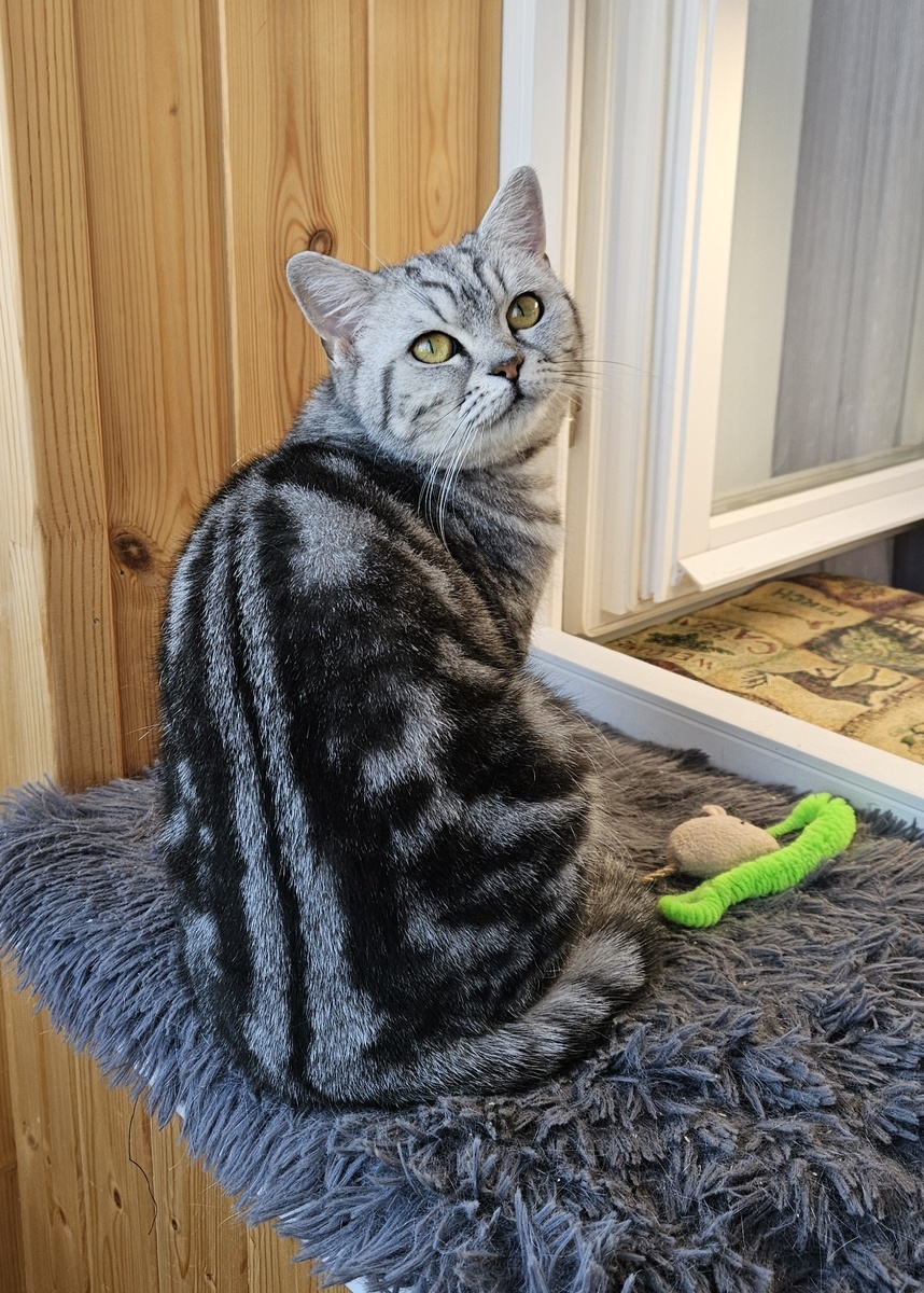 Мия позирует для фото.