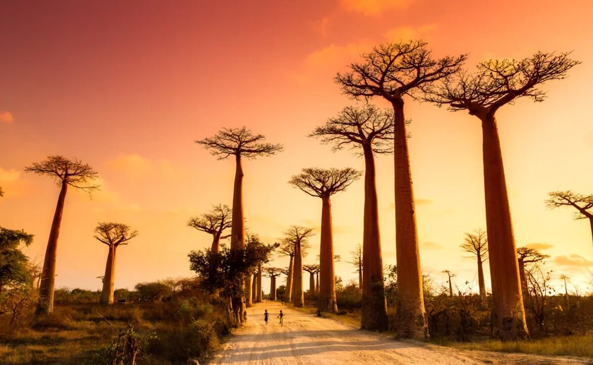    Когда надоели Мальдивы и Бали. Зачем ехать на «восьмой континент» и сколько стоят туры