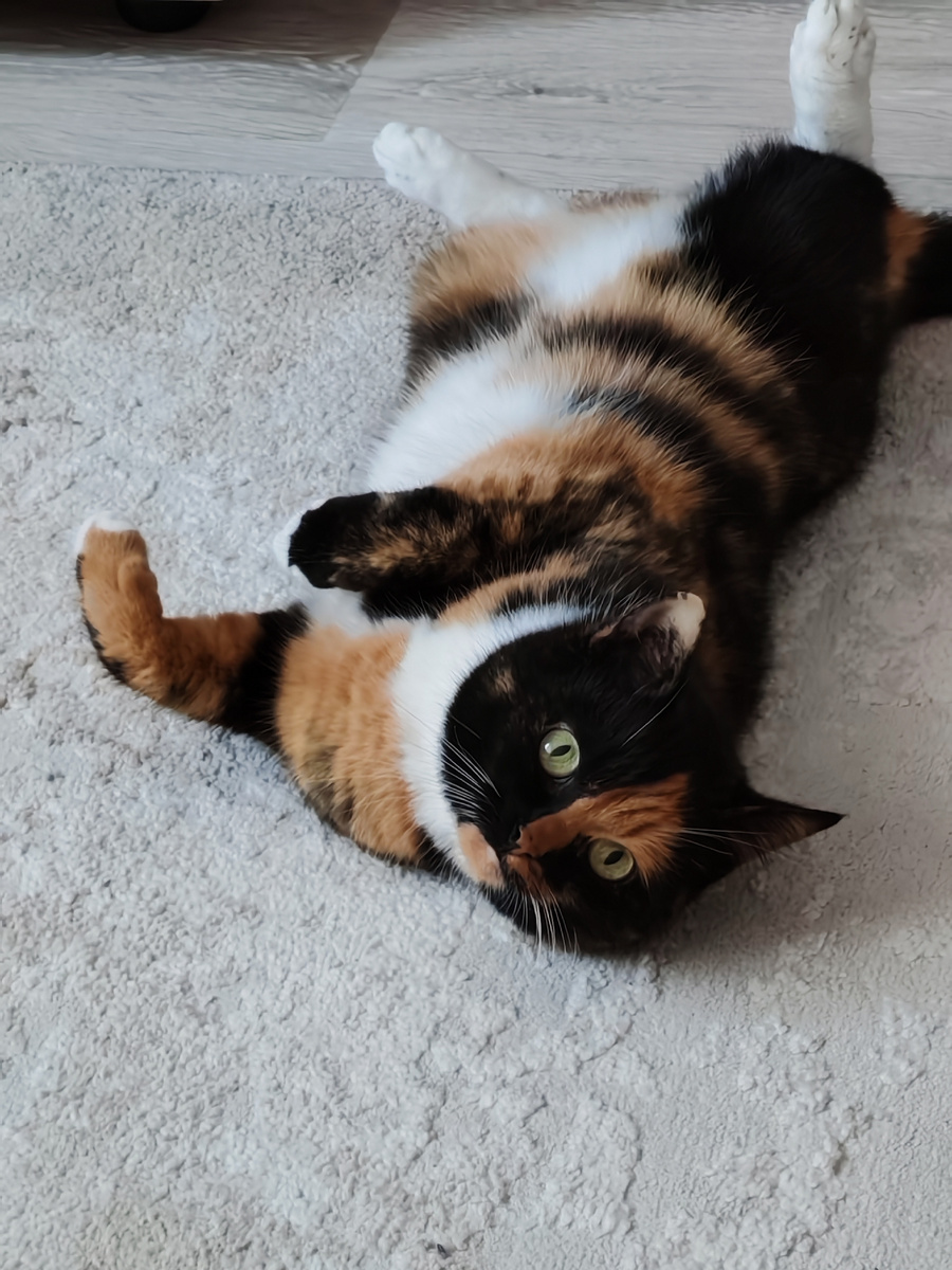 Будьте счастливы!