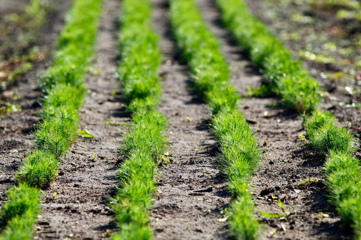    Фото: Минприроды Самарской области