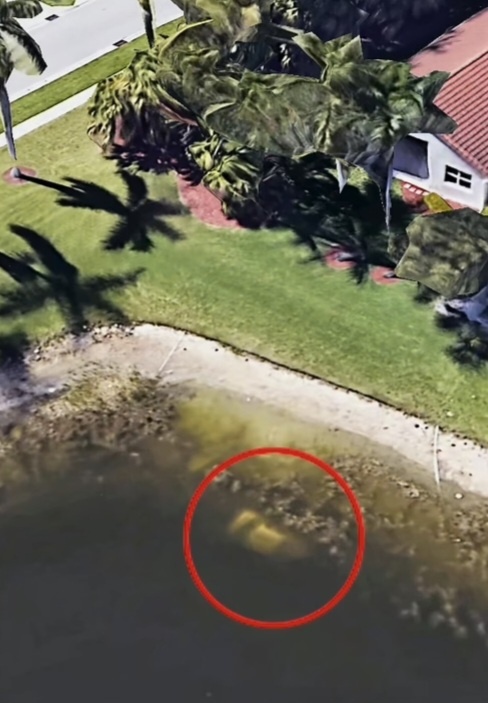 Технологии, которые помнят всё.