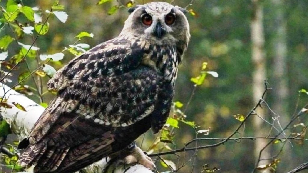    Фото: Виктор Конев