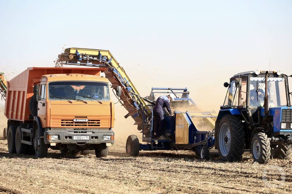    Фото: Дмитрий Рогулин / "Городские вести"